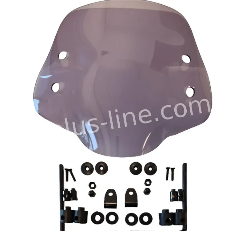 Windscherm Aplus voor Piaggio One Medium Smoke