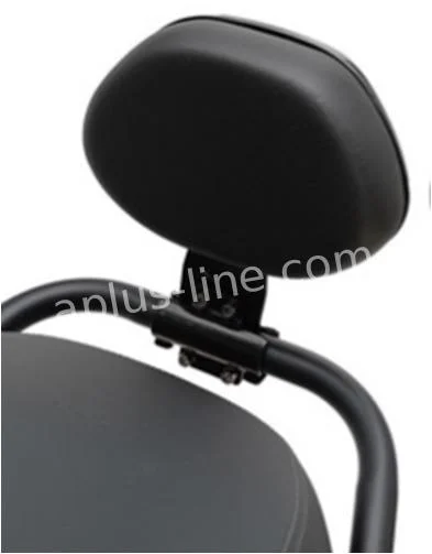 Rugsteun A-Plus voor Segway E-Series - Zwart